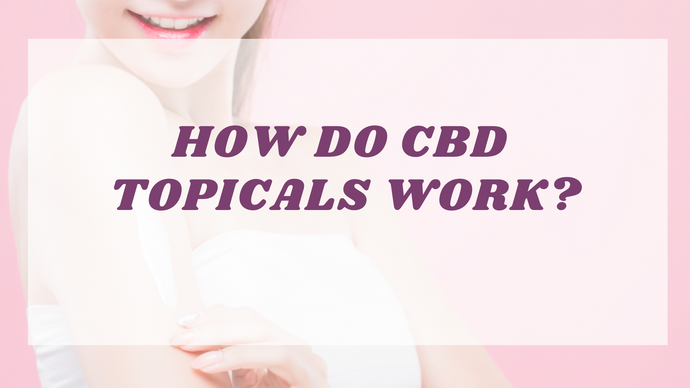 How do CBD Topicals Work?