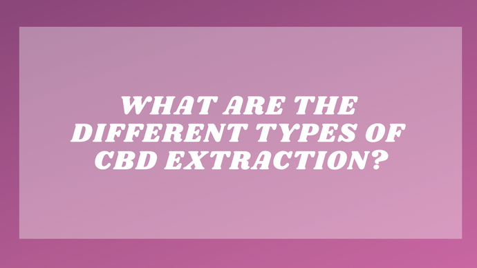 What Are The Different CBD Extraction Methods?