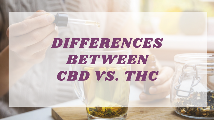 The Differences Between CBD and THC 🕵🏻
