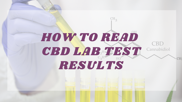 How to Read CBD Lab Test Results